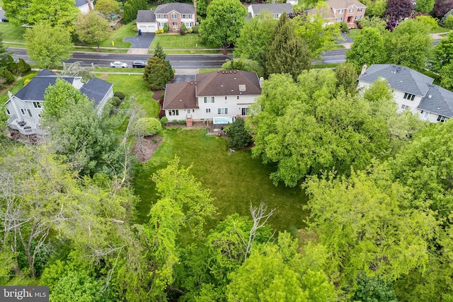 bird's eye view