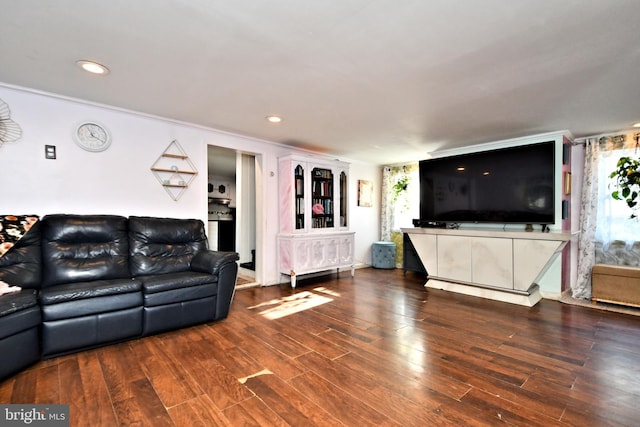 living room featuring wood-type flooring