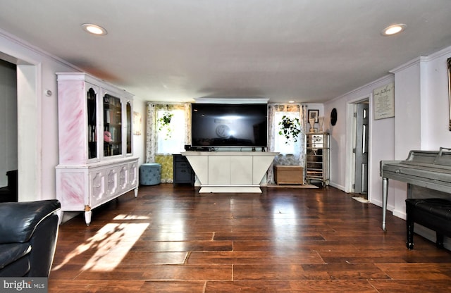 living room featuring crown molding and dark hardwood / wood-style flooring