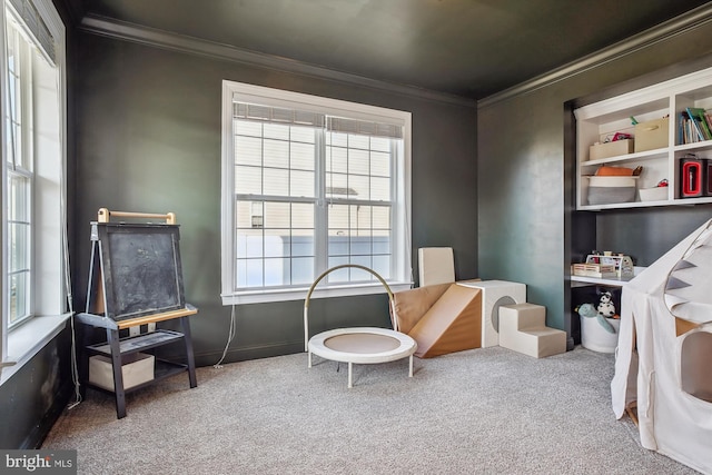 living area with crown molding and carpet floors