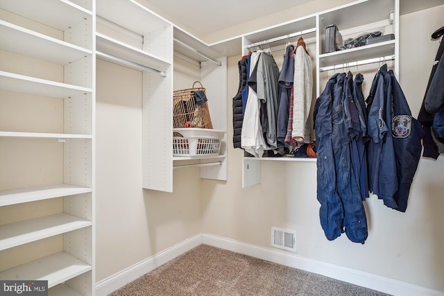 walk in closet with carpet flooring