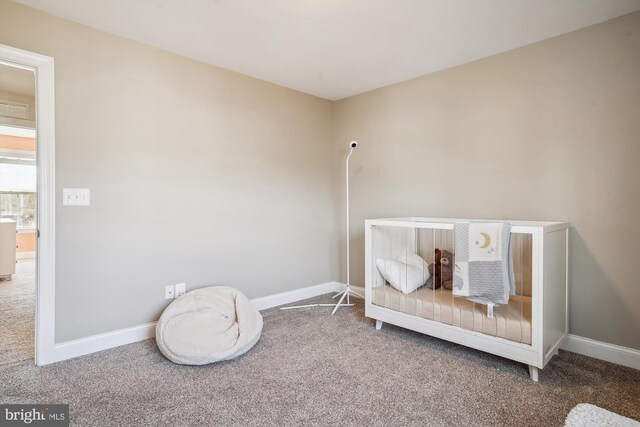 living area featuring carpet floors