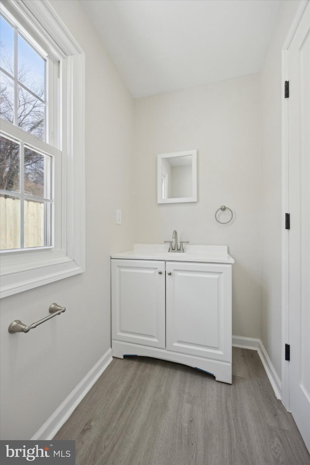 bathroom with wood-type flooring and vanity