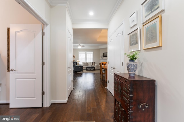 corridor featuring crown molding and dark hardwood / wood-style flooring