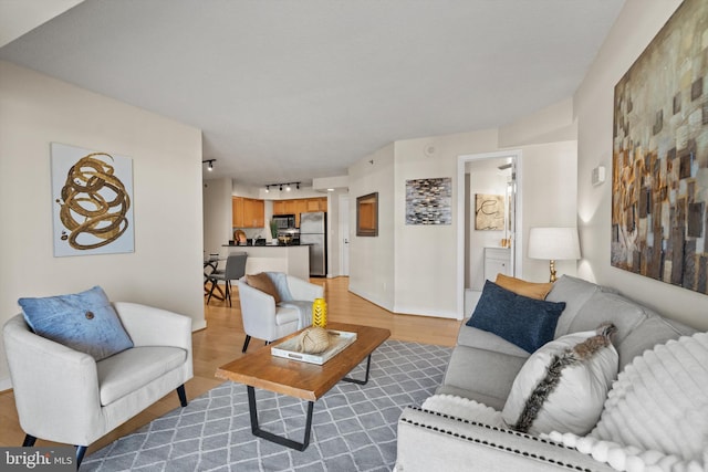 living room featuring light hardwood / wood-style flooring and track lighting