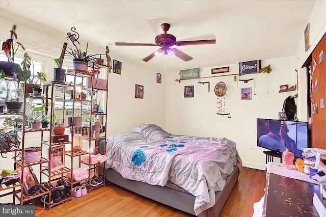 bedroom with hardwood / wood-style flooring and ceiling fan