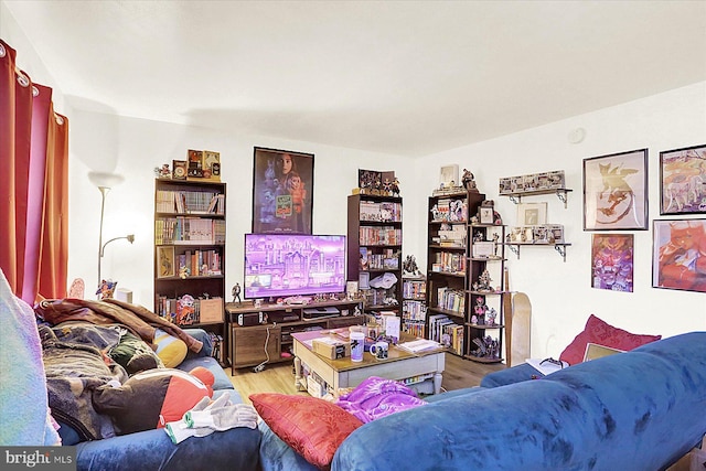 living room featuring light hardwood / wood-style flooring