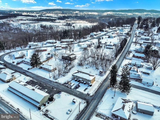 snowy aerial view featuring a mountain view