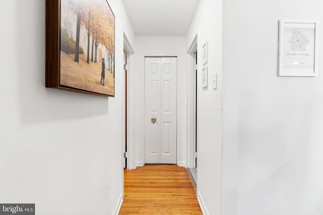 hall with light hardwood / wood-style floors