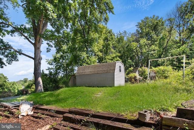 view of yard with a storage unit