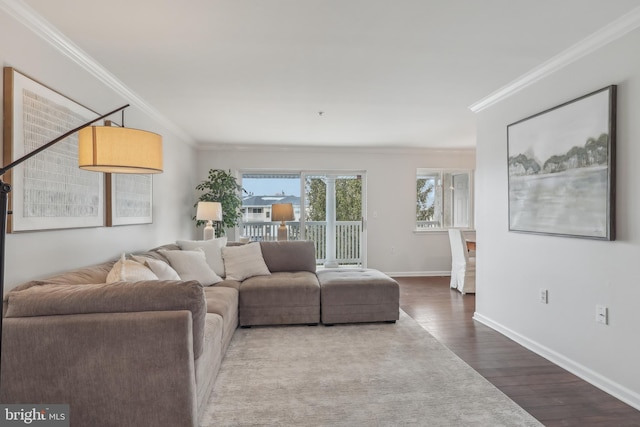 living room with crown molding and hardwood / wood-style floors