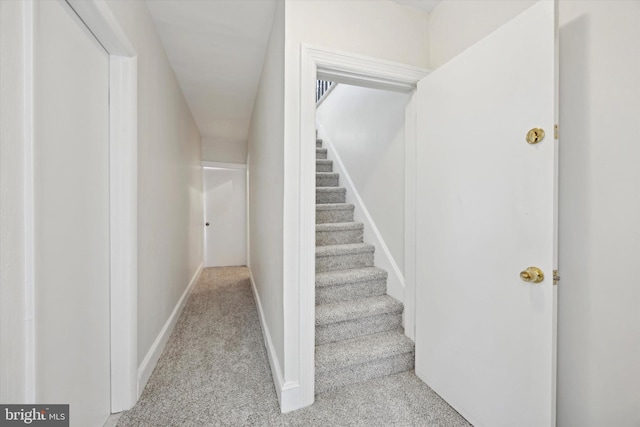 stairs with carpet floors