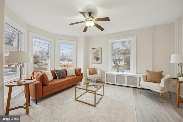 living room with hardwood / wood-style flooring, ceiling fan, radiator, and a wealth of natural light