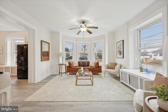 living area featuring ceiling fan, radiator heating unit, light hardwood / wood-style floors, and a healthy amount of sunlight