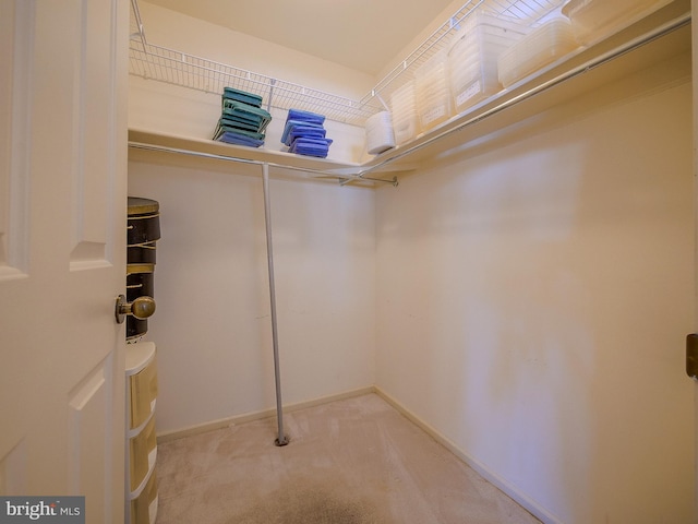 spacious closet with light colored carpet