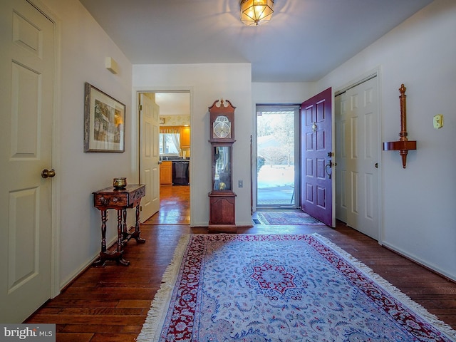 foyer entrance with dark hardwood / wood-style floors