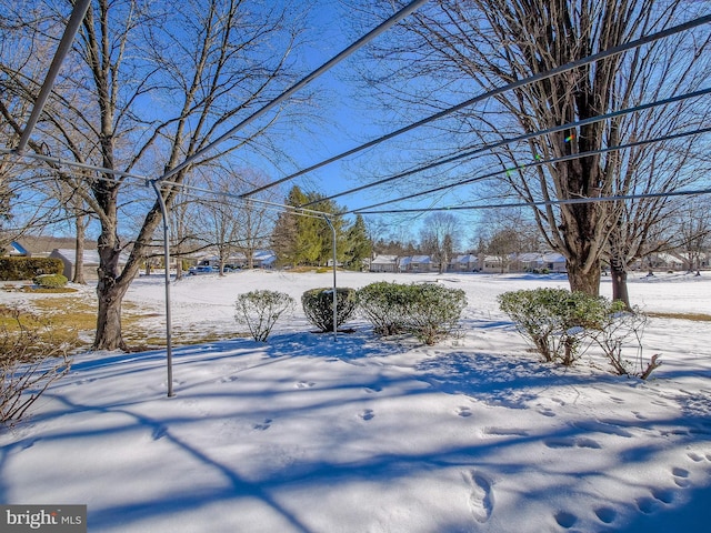 view of yard layered in snow