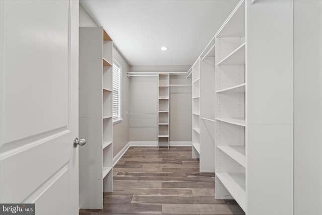 walk in closet with dark hardwood / wood-style floors