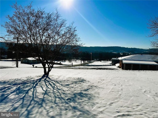 view of yard layered in snow