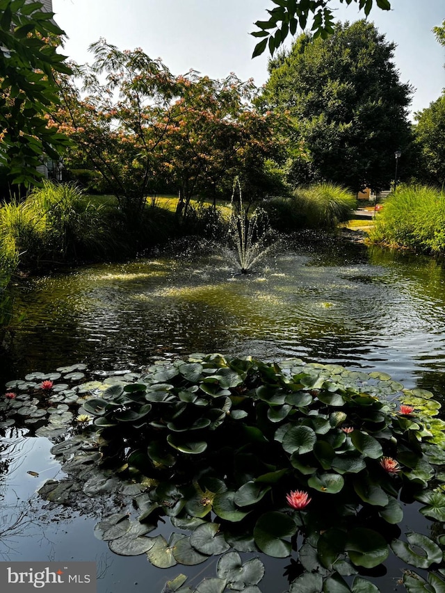 view of water feature