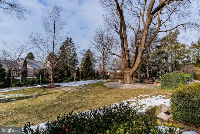 view of yard layered in snow