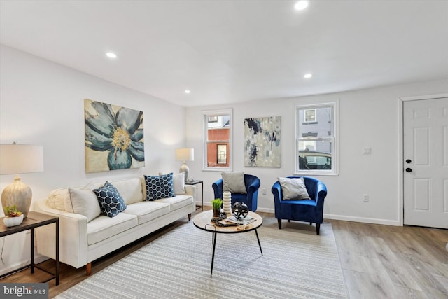 living room with light wood-type flooring