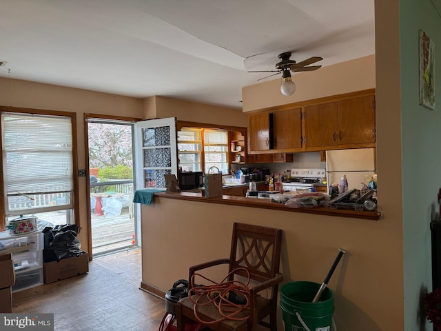 kitchen with ceiling fan, light wood-type flooring, dark countertops, white appliances, and brown cabinets