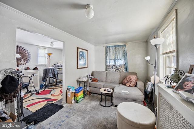 living room with carpet