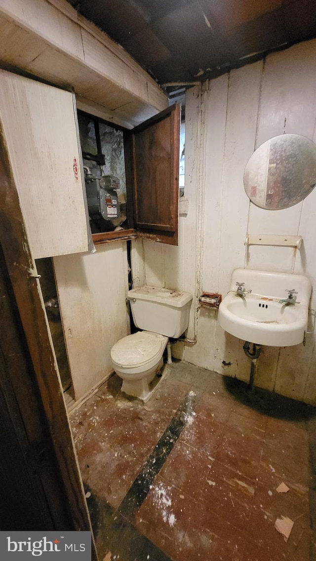 bathroom with sink and toilet