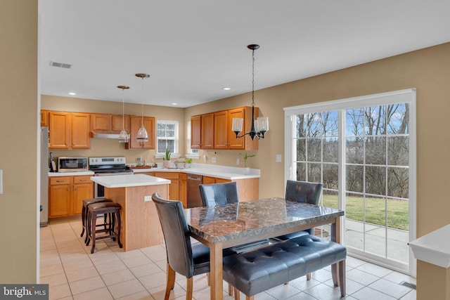 tiled dining space featuring plenty of natural light