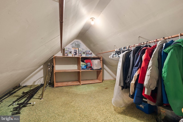 spacious closet with vaulted ceiling