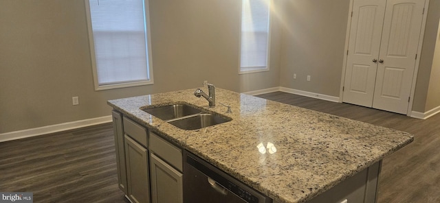 kitchen featuring a sink, baseboards, dark wood-type flooring, and stainless steel dishwasher