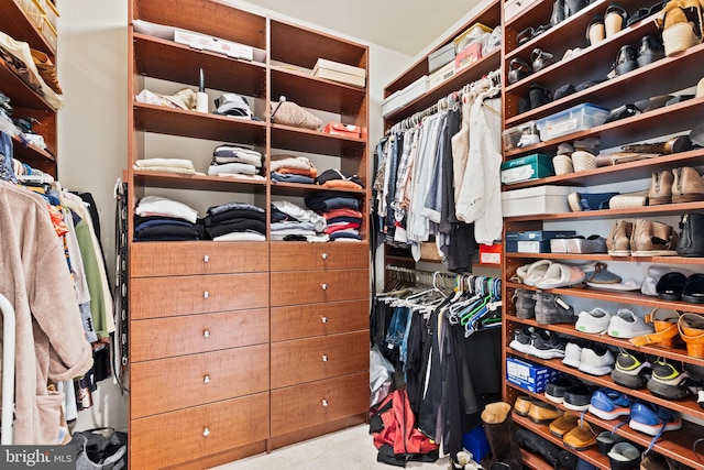 walk in closet with carpet flooring