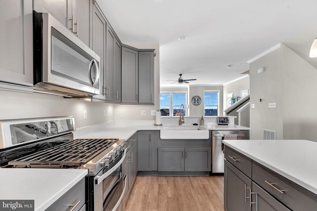 kitchen featuring sink, crown molding, ceiling fan, appliances with stainless steel finishes, and light wood-type flooring