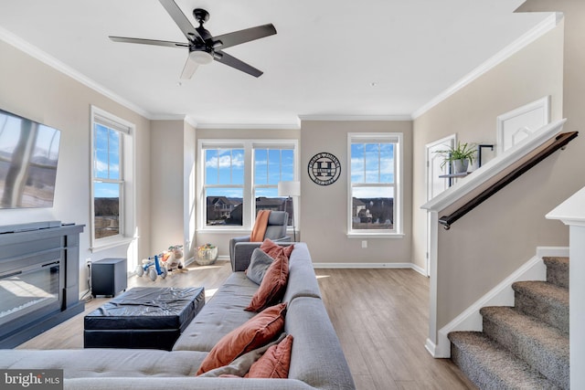 living room with ceiling fan, crown molding, a healthy amount of sunlight, and light wood-type flooring