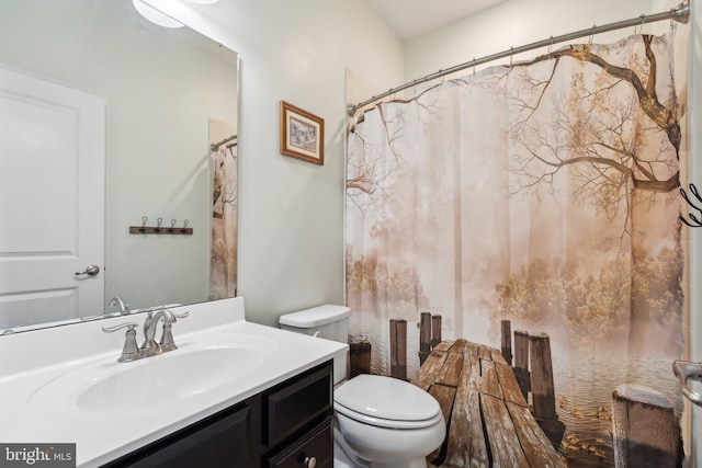 bathroom with toilet and vanity