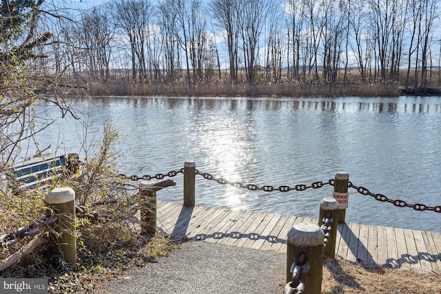 dock area featuring a water view