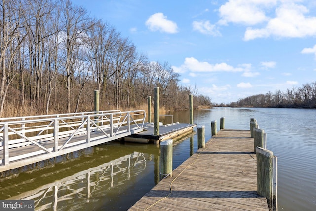 dock area with a water view