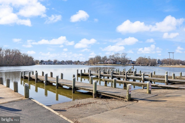 dock area featuring a water view