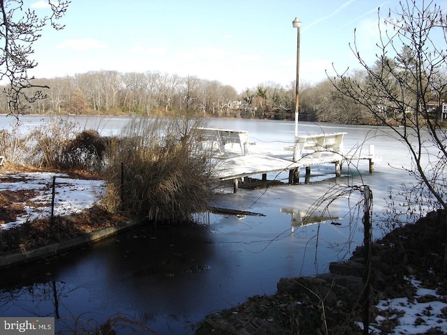 dock area featuring a water view