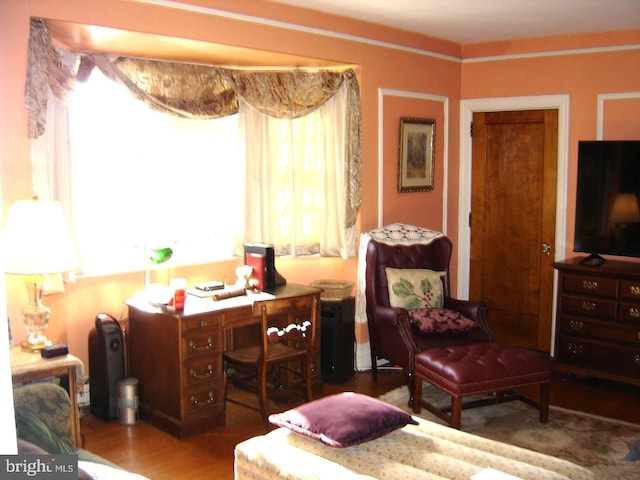 sitting room featuring dark hardwood / wood-style floors