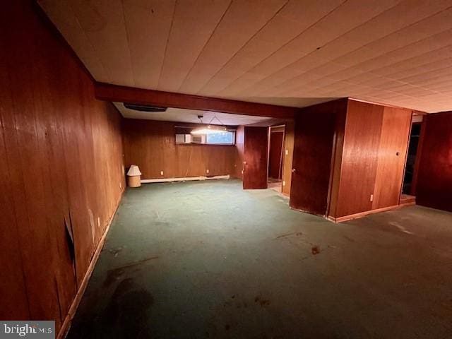 basement with wooden walls