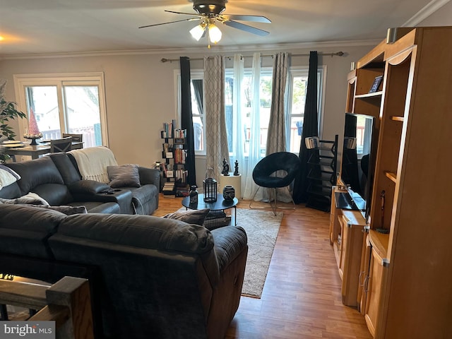 living room with crown molding, a wealth of natural light, ceiling fan, and light hardwood / wood-style flooring