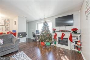 living room with wood-type flooring