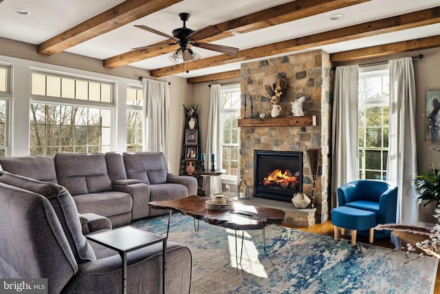 living room with ceiling fan, a stone fireplace, a healthy amount of sunlight, and hardwood / wood-style flooring