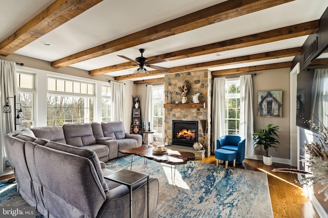 living room with beam ceiling, wood-type flooring, ceiling fan, and a fireplace