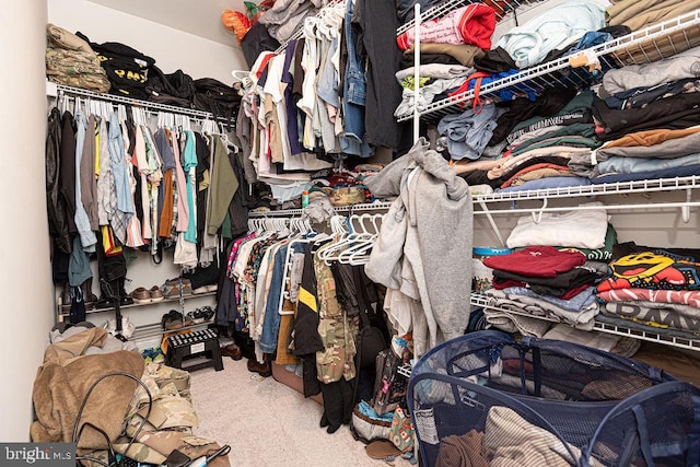 spacious closet featuring carpet flooring