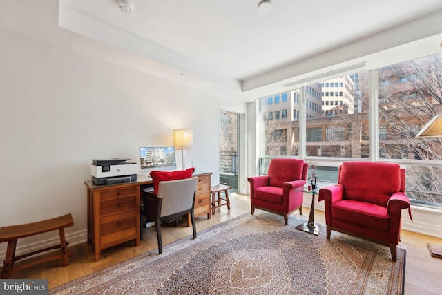 office space with plenty of natural light, baseboards, a raised ceiling, and wood finished floors