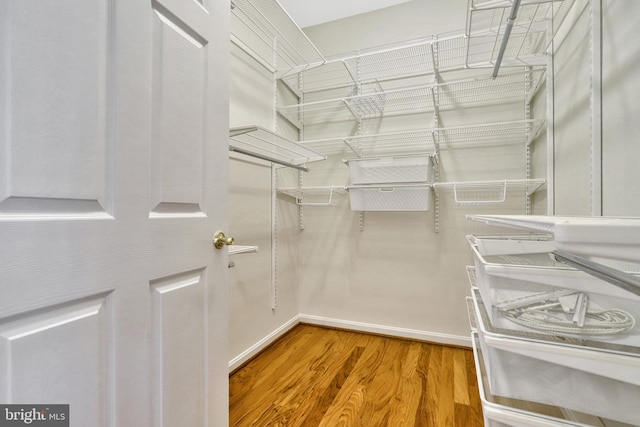 walk in closet with wood-type flooring