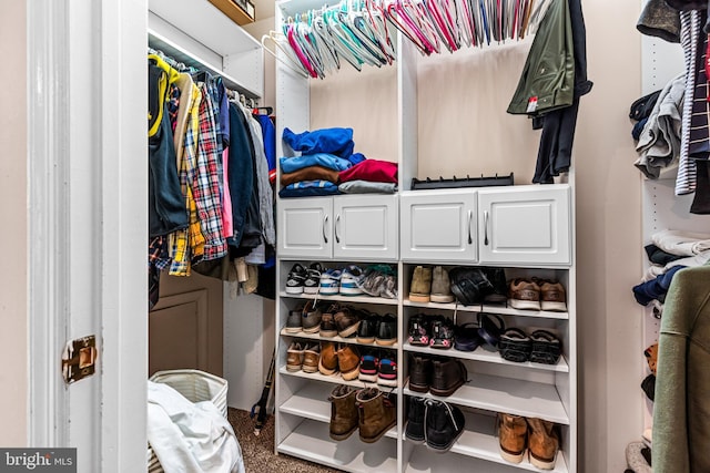 view of spacious closet